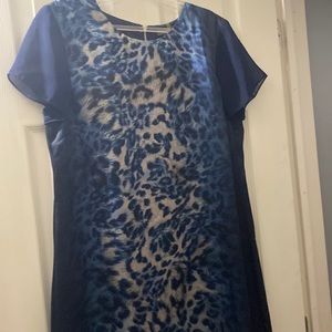 Silky with see thru sleeves